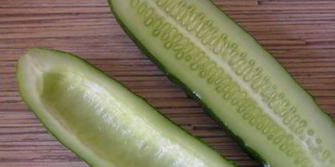 Рецепт роллов с креветками в огурцах