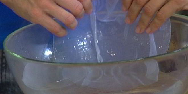 Рецепт спринга-роллов с уткой