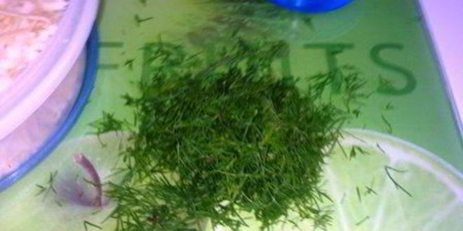 Рецепт рулета из лаваша с рыбой