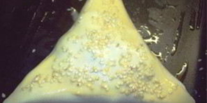 Рецепт настоящей узбекской самсы