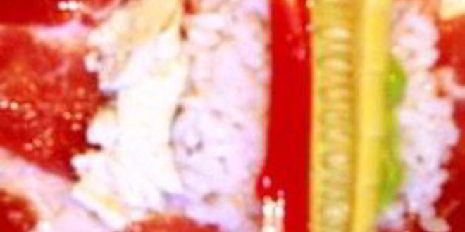 Рецепт мясных суш