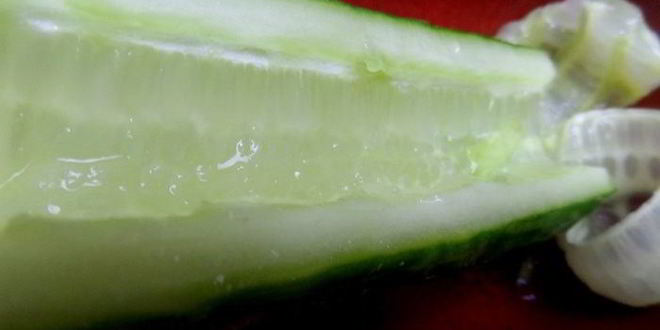 Рецепт суш по-русски