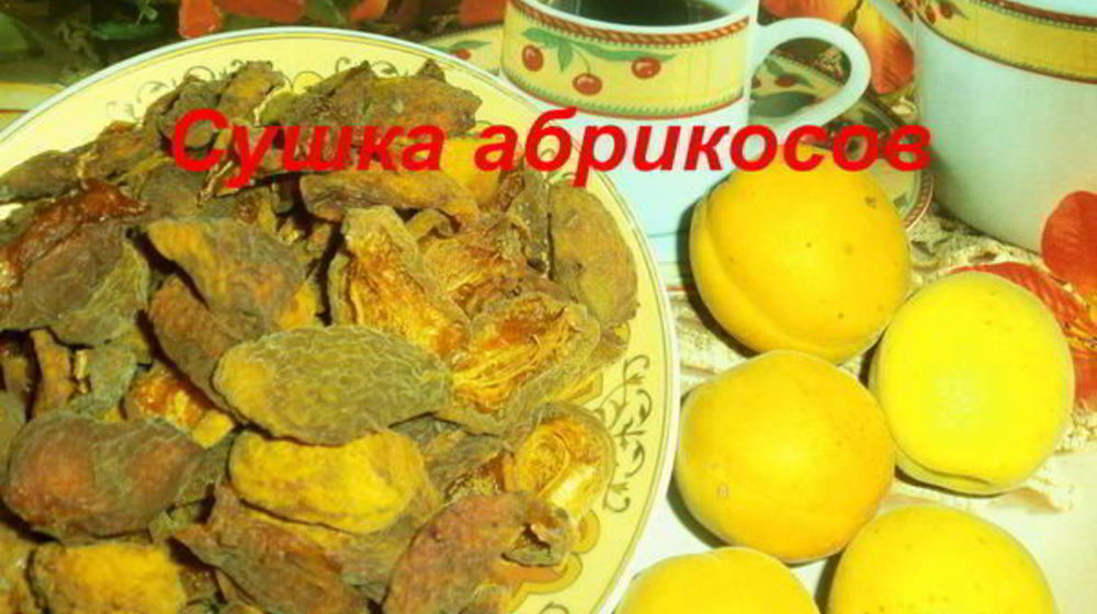 Как приготовить сушку абрикосов в электросушилке