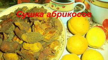 Рецепт Сушки абрикосов в электросушилке