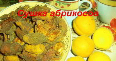 Рецепт Сушки абрикосов в электросушилке