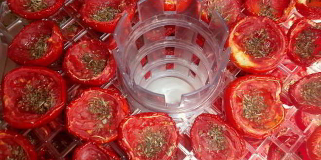 Рецепт вяленых помидоров в электросушилке