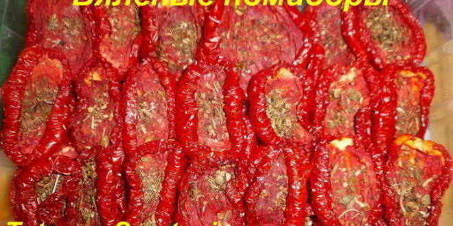 Рецепт вяленых помидоров в электросушилке