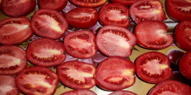 Рецепт вяленых помидоров в электросушилке