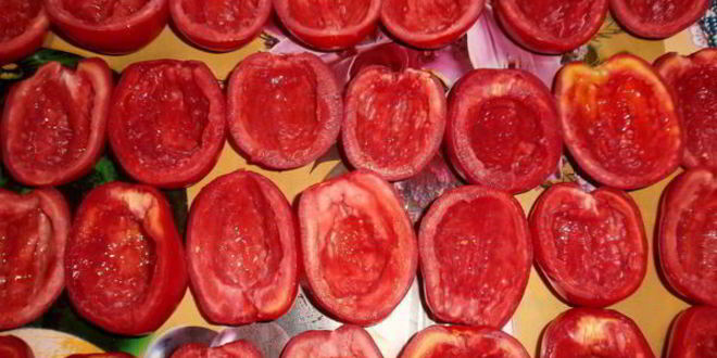 Рецепт вяленых помидоров в электросушилке