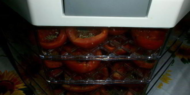 Рецепт вяленых помидоров в электросушилке