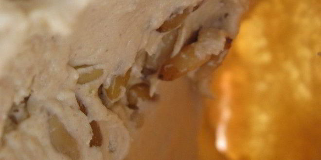 Рецепт иракского сэндвича сабиах