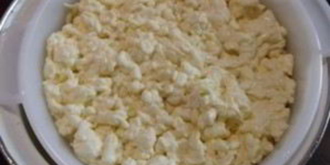 Рецепт сыра костромского