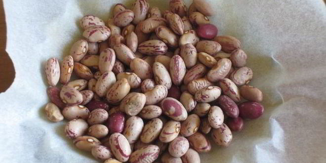 Рецепт тарталеток с овощами и йогуртовой заливкой