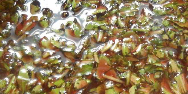 Рецепт тарта с ежевикой, ревенем и руколой