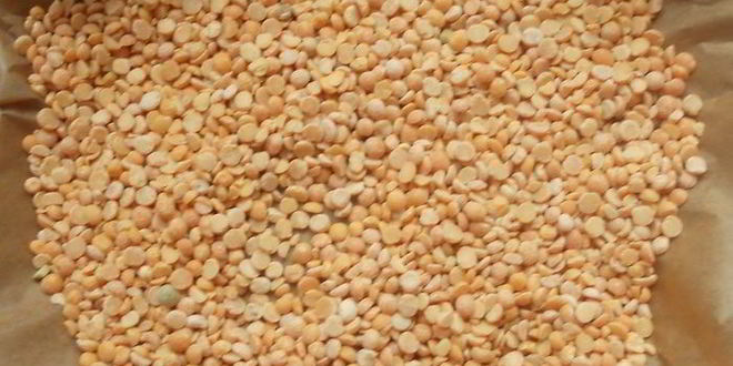 Рецепт тарта с ежевикой, ревенем и руколой