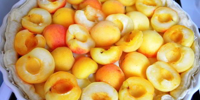 Рецепт тарта с камамбером и абрикосами