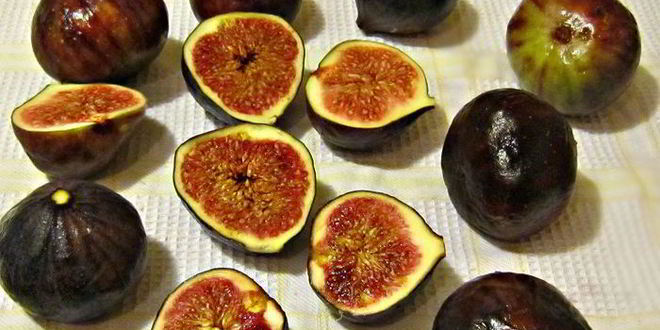 Рецепт закусочного тарта с сыром джюгас и инжиром