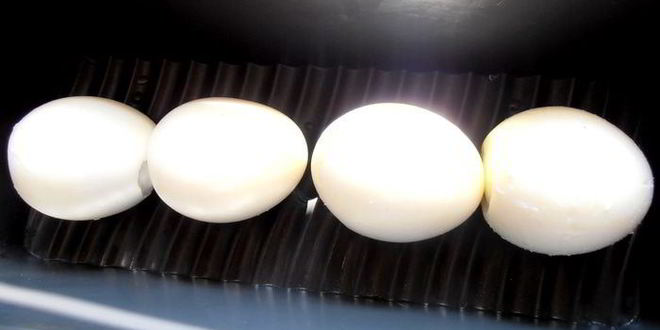 Рецепт томатного желе-закуски удиви гостей