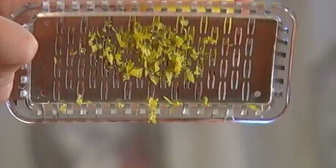 Рецепт тостов с патэ из копченой форели