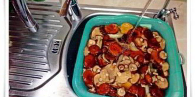 Рецепт волнушек в кляре