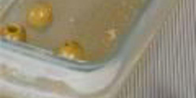 Рецепт заливного из фаршированного языка