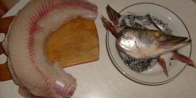 Рецепт заливного из щуки