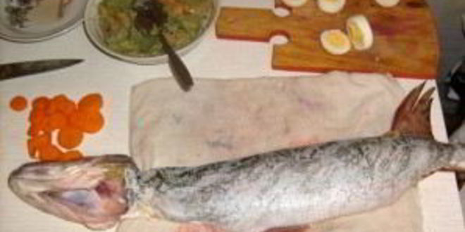 Рецепт заливного из щуки