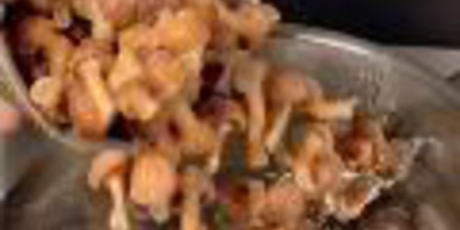 Рецепт заливного из свиного языка с опятами