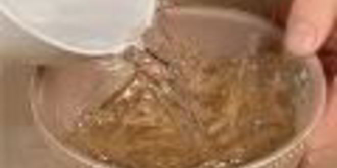 Рецепт заливного из свиного языка с опятами