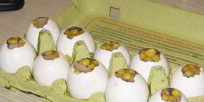 Рецепт заливного яйца фаберже