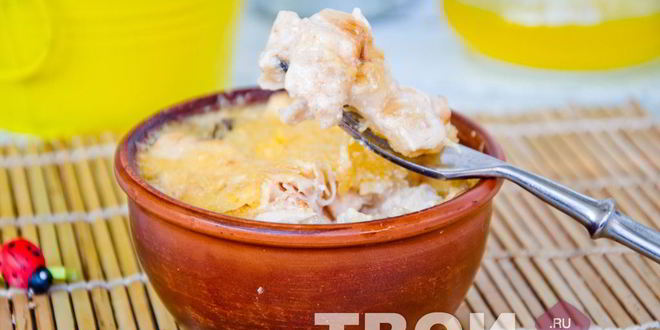 Рецепт жульена из курицы