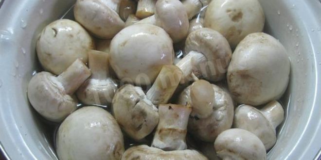 Рецепт жульена парижского шик