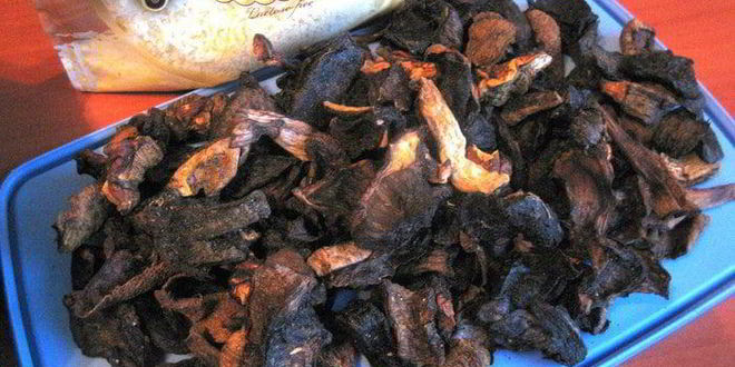 Рецепт жульена печеночного с грибами под сыром джюгас